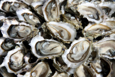 Oysters SP de Claire, 12 vnt. 